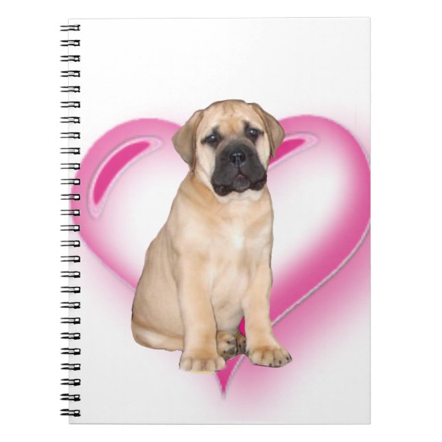 Carnet Chiot de Heart Bullmastiff (Devant)
