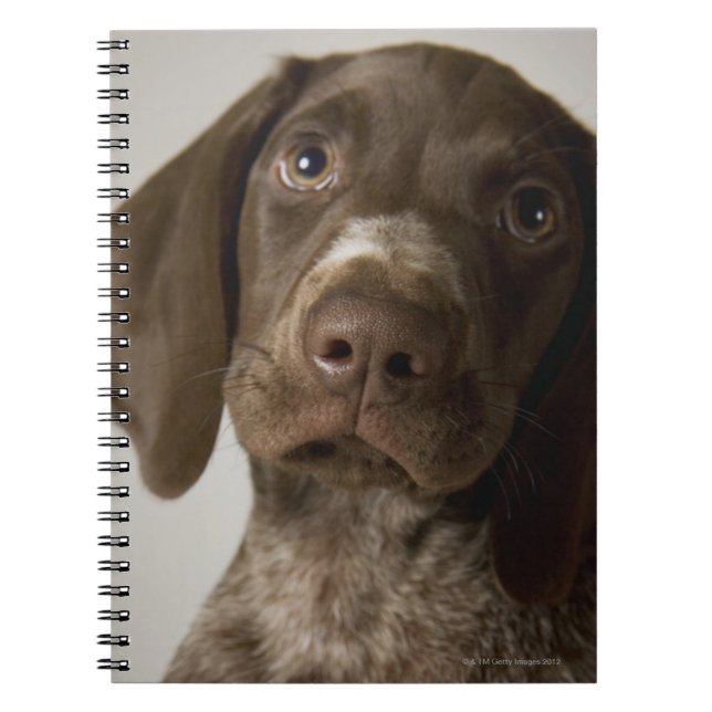Carnet Chiot de poing germanique à courte aile (Devant)