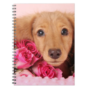 Carnet Chiot de teckel entouré par des roses