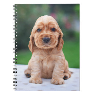 Carnet Chiot d'épagneul de Coker