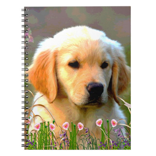 Carnet Chiot d'or d'Austin Labrador (Devant)