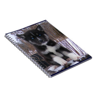 Carnet Chiot enroué