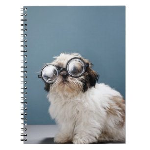 Carnet Chiot portant des lunettes épaisses