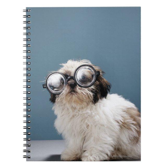 Carnet Chiot portant des lunettes épaisses (Devant)