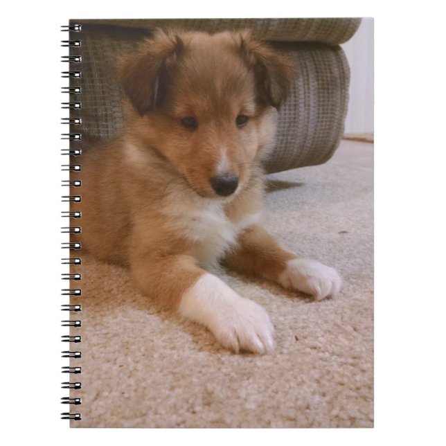 Carnet chiot rayé (Devant)