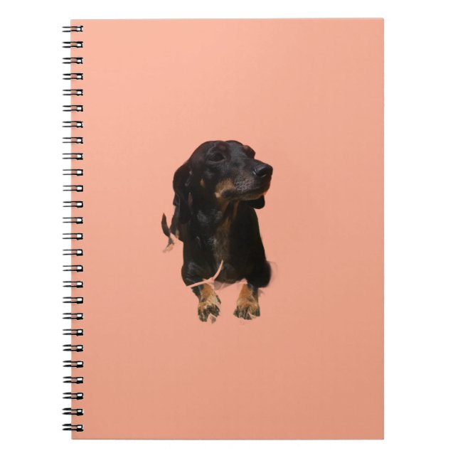 Carnet Chiot Teckel (Devant)