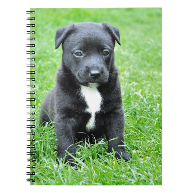 Carnet Chiot totalement adorable (Devant)