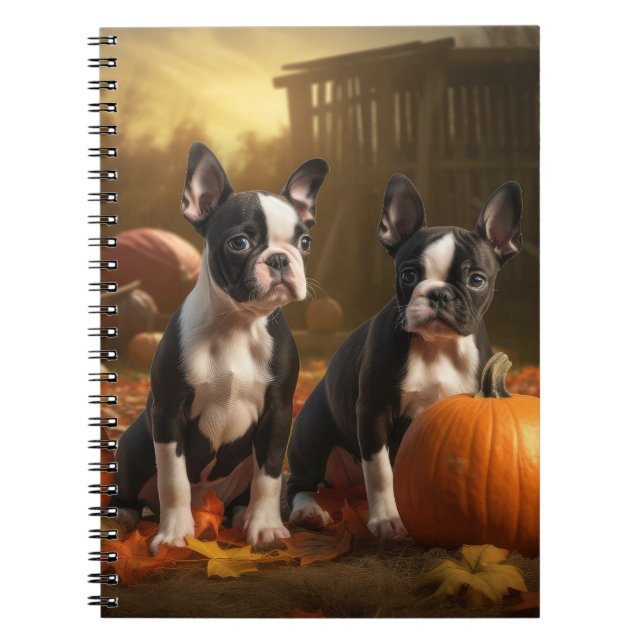 Carnet Chiots Boston Terrier Délice d'Automne Citrouille (Devant)