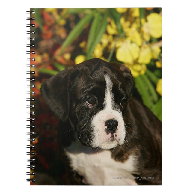 Carnet Chiots de boxeur (Devant)