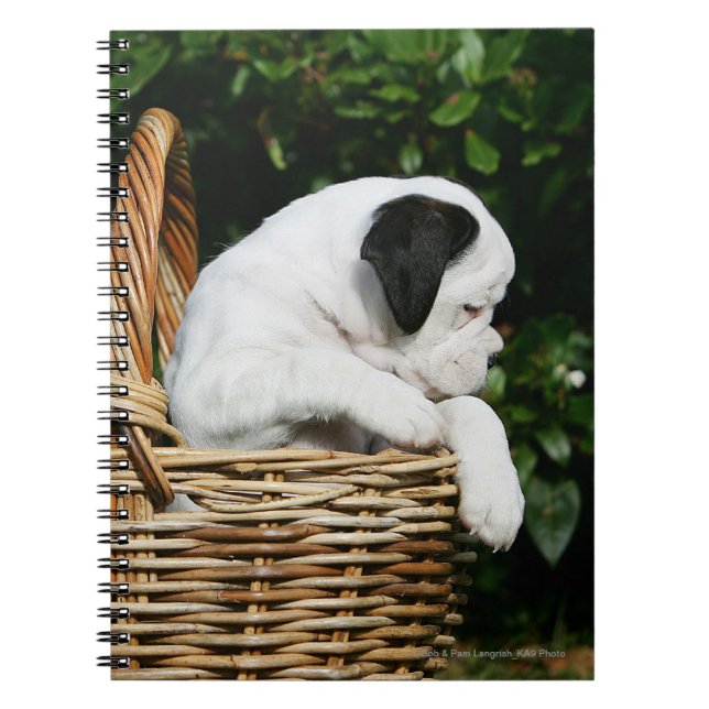 Carnet Chiots de boxeur dans le panier (Devant)