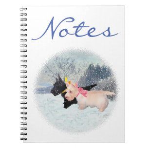 Carnet Chiots écossais
