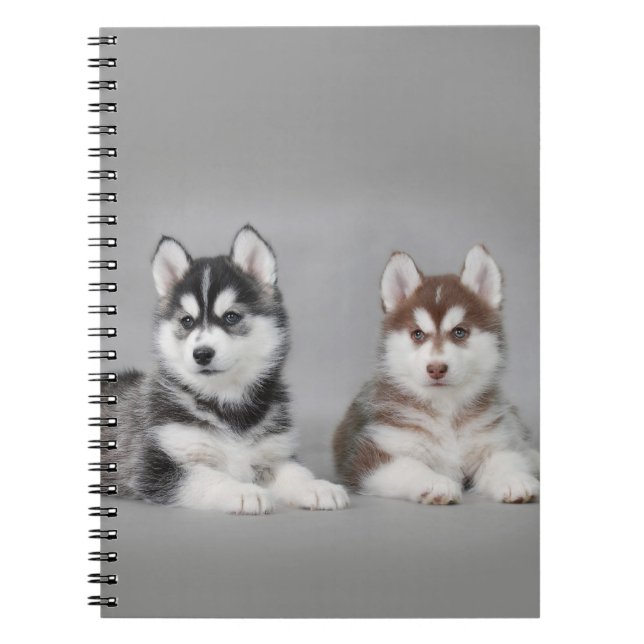 Carnet Chiots husky sibériens (Devant)