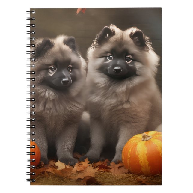 Carnet Chiots Keeshond Délice d'Automne Citrouille (Devant)