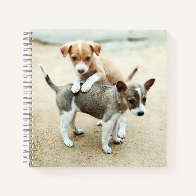 Carnet Chiots mignons jouant sur la plage (Devant)