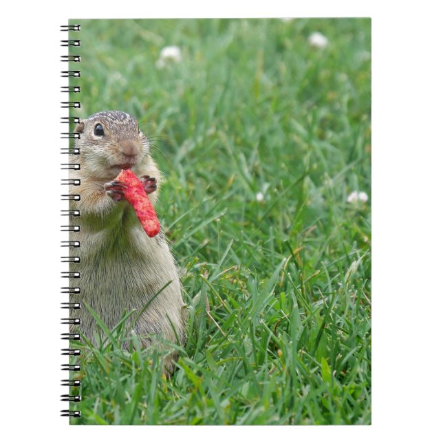 Carnet Chipmunk.JPG (Devant)