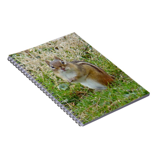 Carnet Chipmunk oriental (Côté Droit)