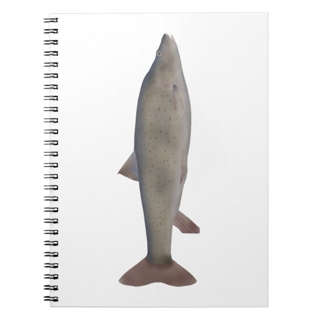 Carnet Chirruh Snowtrout (Devant)