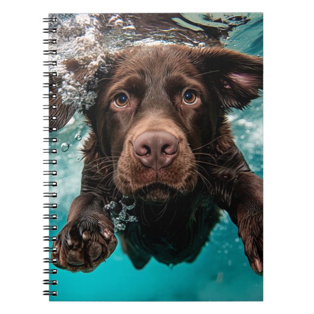 Carnet Chocolat Joueur Labrador nage sous l'eau (Devant)