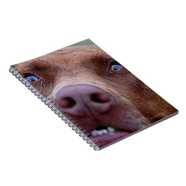 Carnet Chocolat Lab Pit Mélanger le nez de chien (Côté Droit)