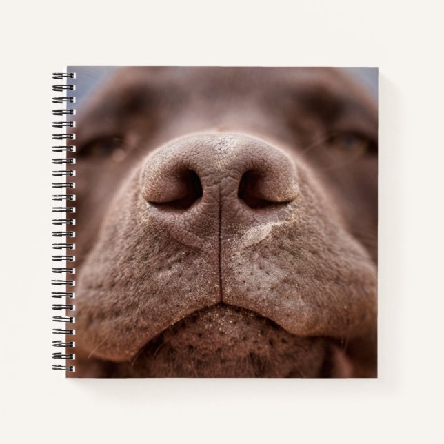 Carnet Chocolat Labrador Closeuse du nez (Devant)