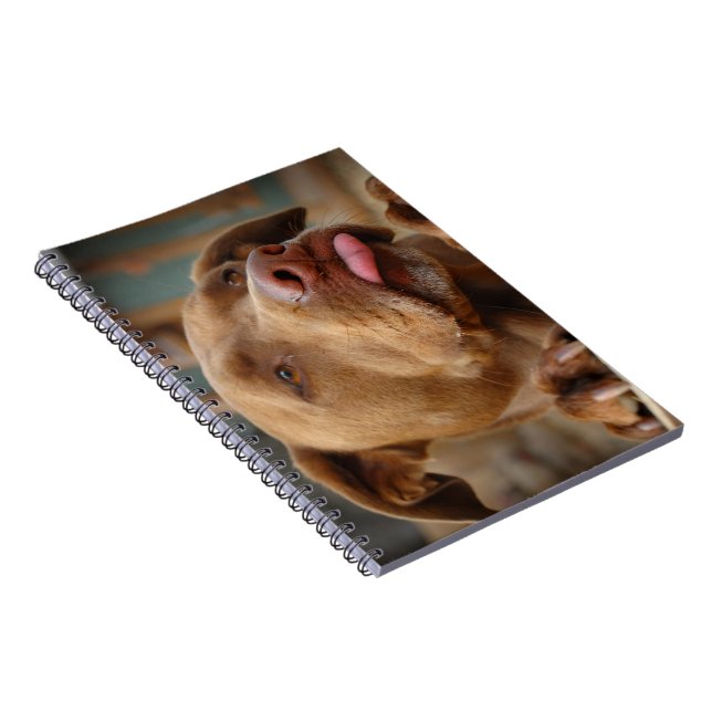 Carnet Chocolat mignon Lab Pit Mix Chien (Côté Droit)