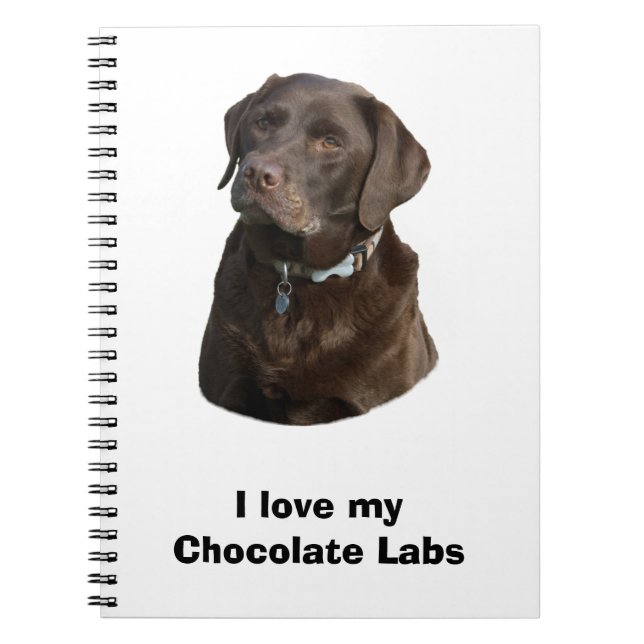 Carnet Chocolate Labrador dog photo (Devant)