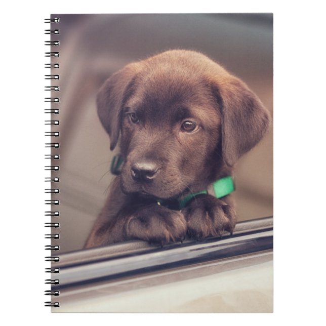 Carnet Chocolate Labrador Puppy In Car (Devant)