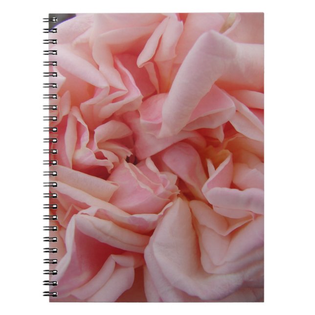 Carnet Chou rose Rose Fleurs Vintages Fleurs blanches (Devant)