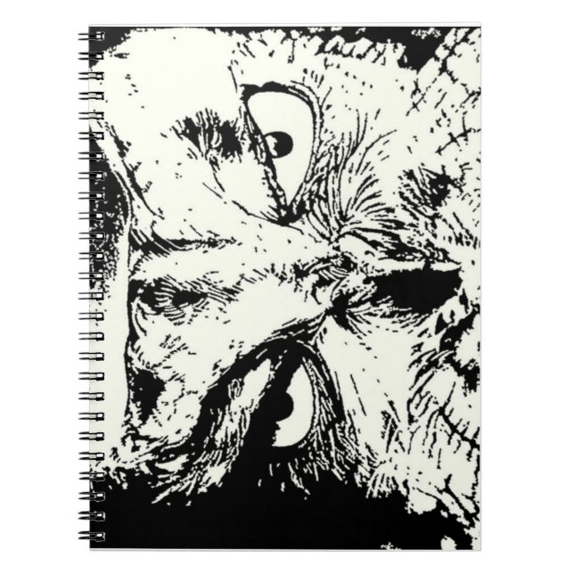 Carnet chouette (Devant)