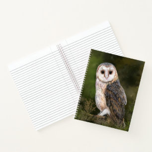 Carnet Chouette de l'Ouest - Peinture à l'aquarelle géant