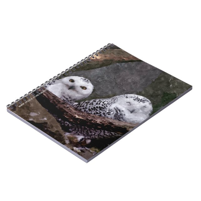 Carnet Chouette Harfang Couple Art Bois Faune (Côté gauche)