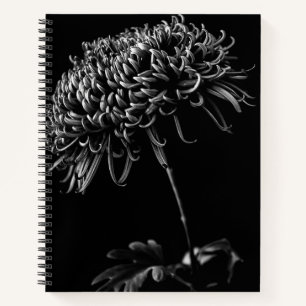 Carnet Chrysanthème