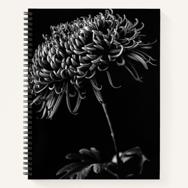 Carnet Chrysanthème (Devant)