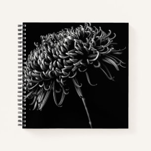 Carnet Chrysanthème