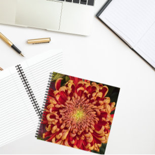 Carnet Chrysanthème rouge et jaune Floral