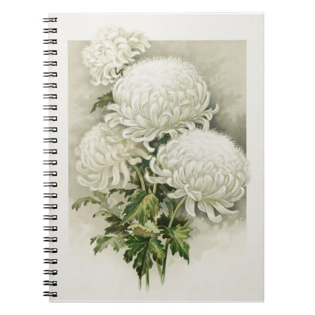 Carnet Chrysanthèmes - Elégant Botanique Vintage (Devant)