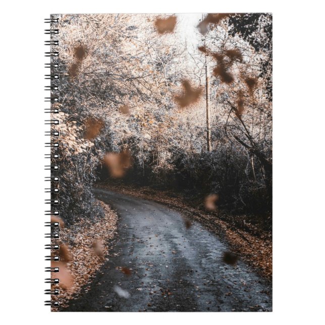 CARNET CHUTE DE FEUILLES SÉCHÉS (Devant)