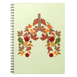 Carnet Chute des FC