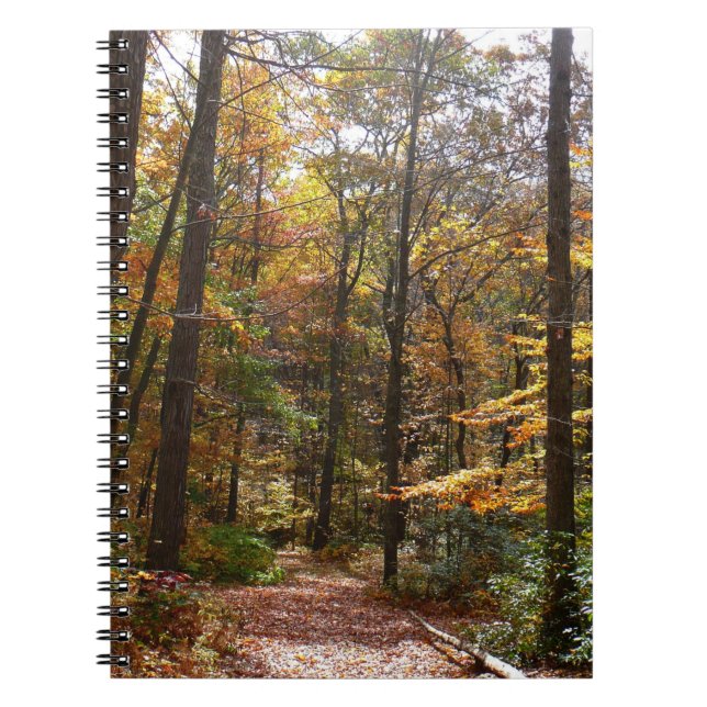 Carnet Chute Sunlit dans le parc national de Laurel Hill (Devant)