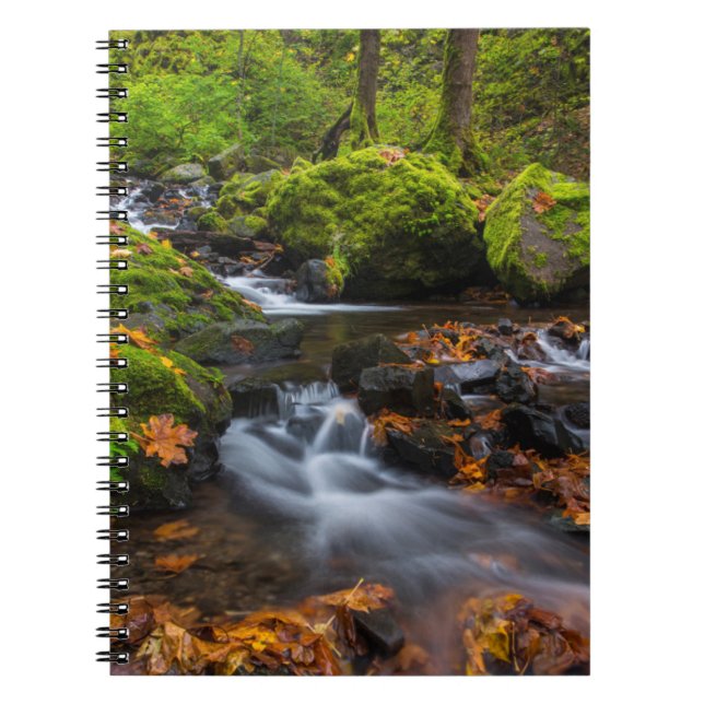 Carnet Chutes de Starvation Creek | Columbia Gorge, Orego (Devant)
