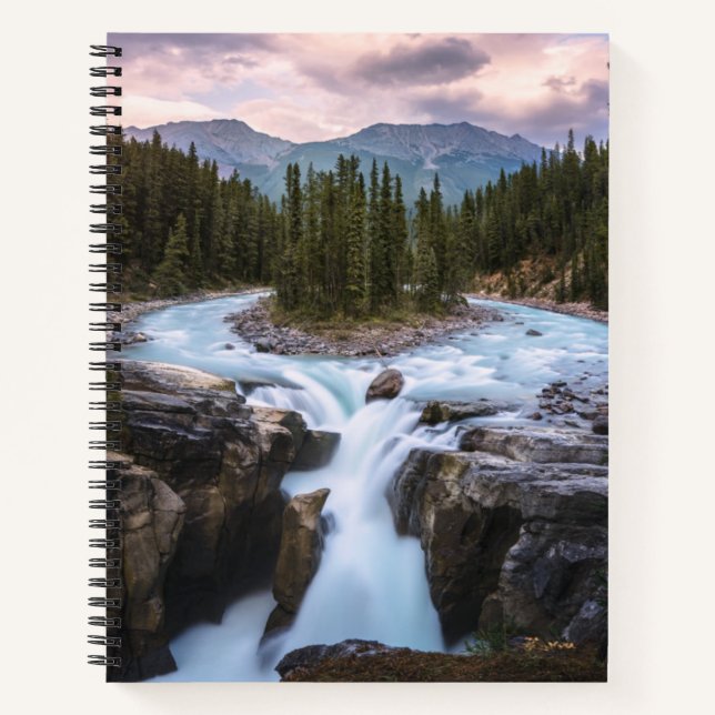Carnet Chutes Sunwapta | Parc national Jasper (Devant)