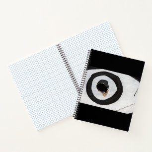 Carnet cible déchirures