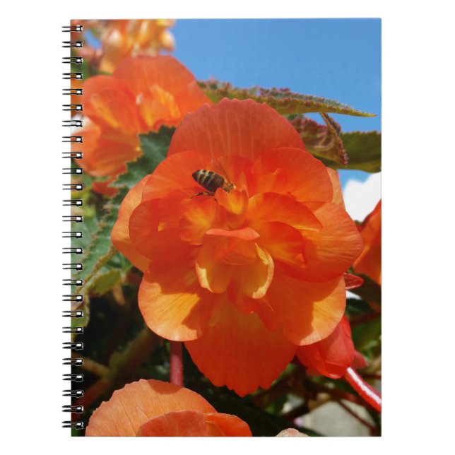 Carnet ciel, fleurs et abeille (Devant)