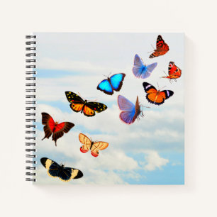 Carnet Ciel papillon