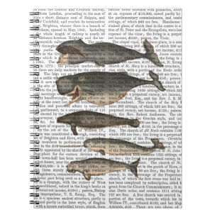 Carnet Cinq baleines vintages