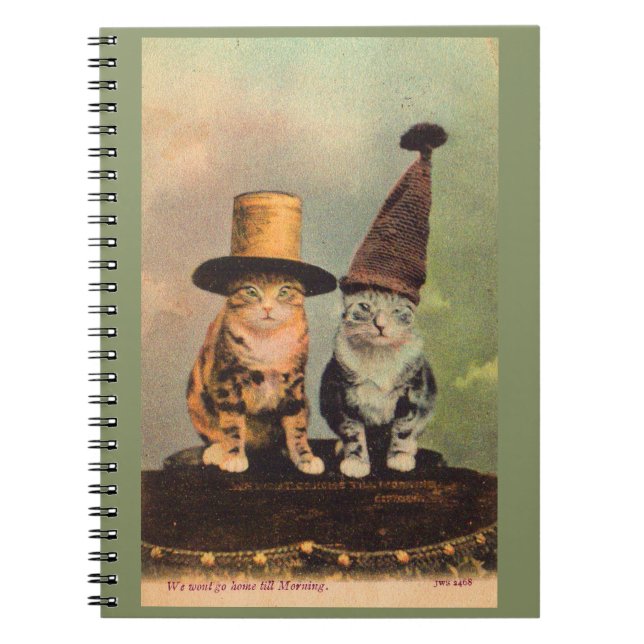 Carnet circa 1900 chats en RPPC casquette (Devant)