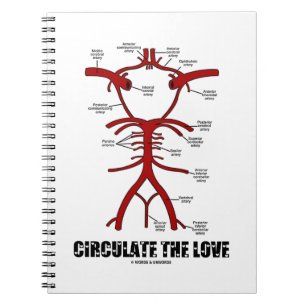 Carnet Circulez l'amour (le cercle de willis)
