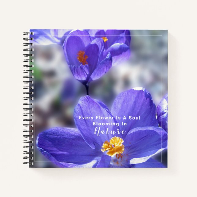 Carnet Citation Crocus Purple Fleurs (Devant)