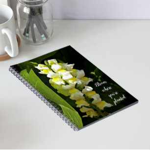 Carnet Citation Fleurir Où Vous Êtes Planté Snapdragons