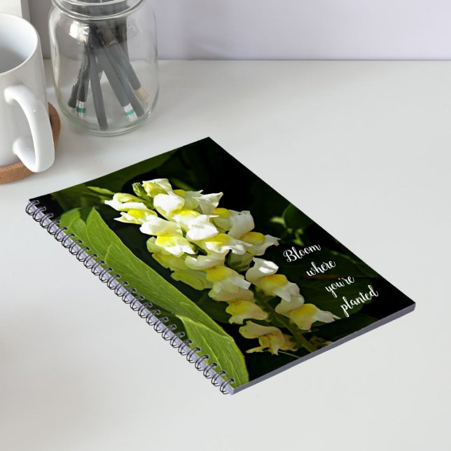 Carnet Citation Fleurir Où Vous Êtes Planté Snapdragons (Créateur téléchargé)
